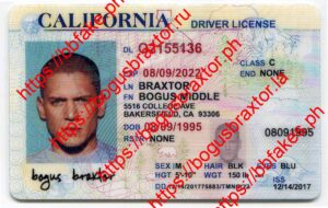 Bogus Braxtor Fake ID - California Over 21