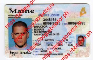 Bogus Braxtor Fake ID - Maine Fake IDs