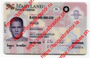 Bogus Braxtor Fake ID - Maryland Fake ID