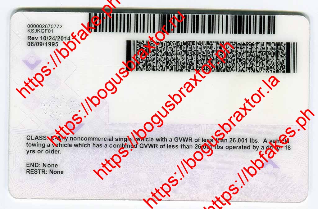 North Carolina Fake ID - Image 4