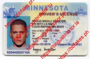 Bogus Braxtor Fake ID - Minnesota Fake IDs