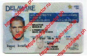 Bogus Braxtor Fake ID - Delaware Fake IDs