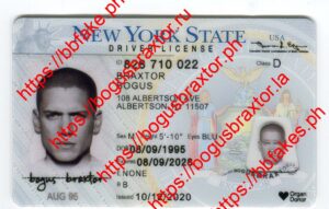 Bogus Braxtor Fake ID - New York Fake ID