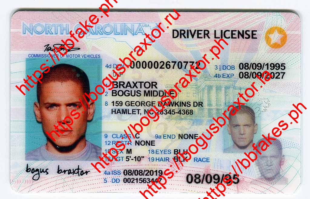 Bogus Braxtor Fake ID - North Carolina Fake ID