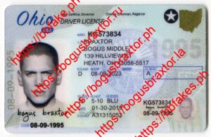Bogus Braxtor Fake ID - Ohio Fake ID