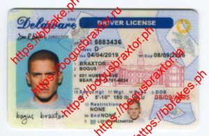Bogus Braxtor Fake ID - Delaware Fake ID