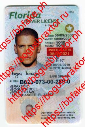 Bogus Braxtor Fake ID - Florida Learner Fake ID