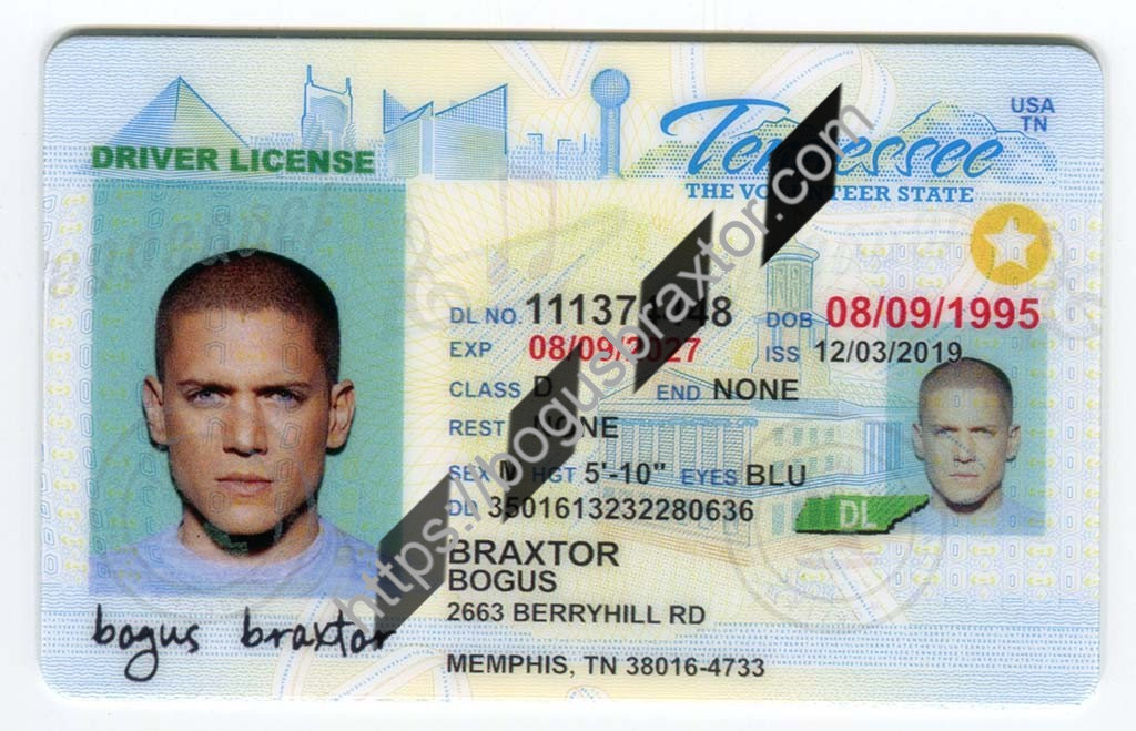 Tennessee Fake ID
