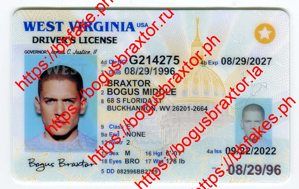 West Virginia Fake ID - West Virginia driver license