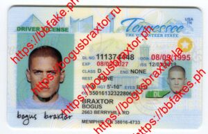 Bogus Braxtor Fake IDs - Tennessee Fake ID