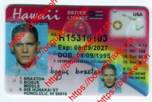 Bogus Braxtor Fake ID - Hawaii Fake ID