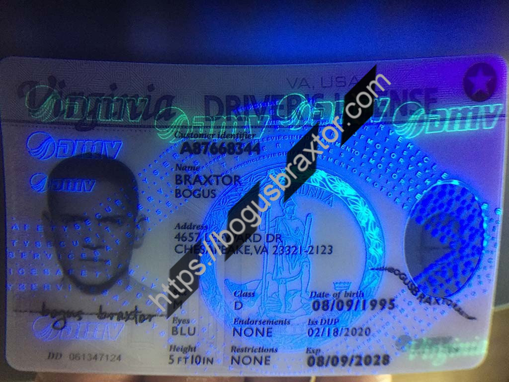 Virginia Fake ID