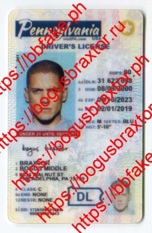 Bogus Braxtor Fake ID - Pennsylvania Vertical Fake ID